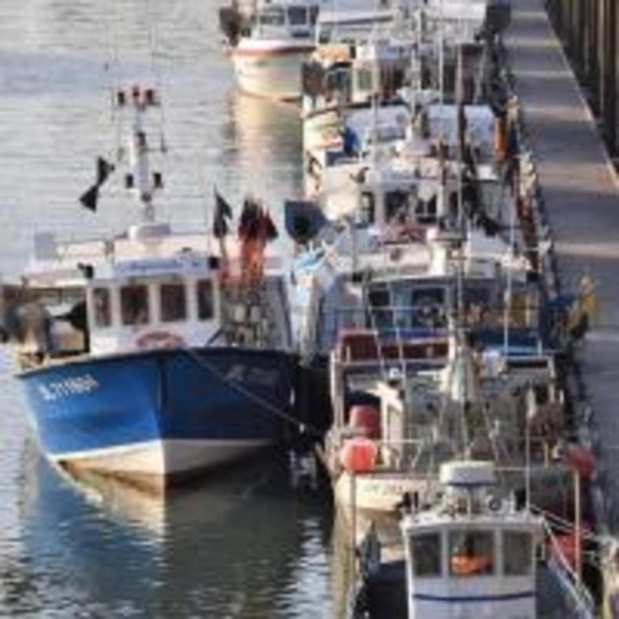 Meuble 4 Etoiles, A 2Mn De Nausicaa, Vue Sur Port Et Mer Boulogne-sur-Mer Eksteriør billede